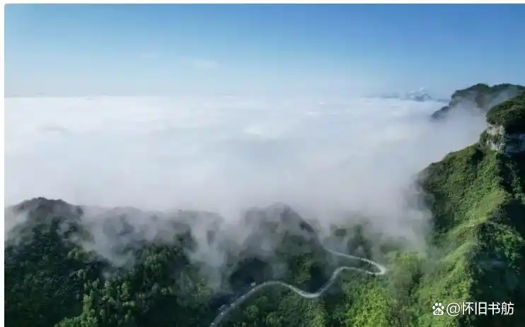 金佛山世界自然遗产_重庆到金佛山旅游攻略_金佛山178环线自驾游