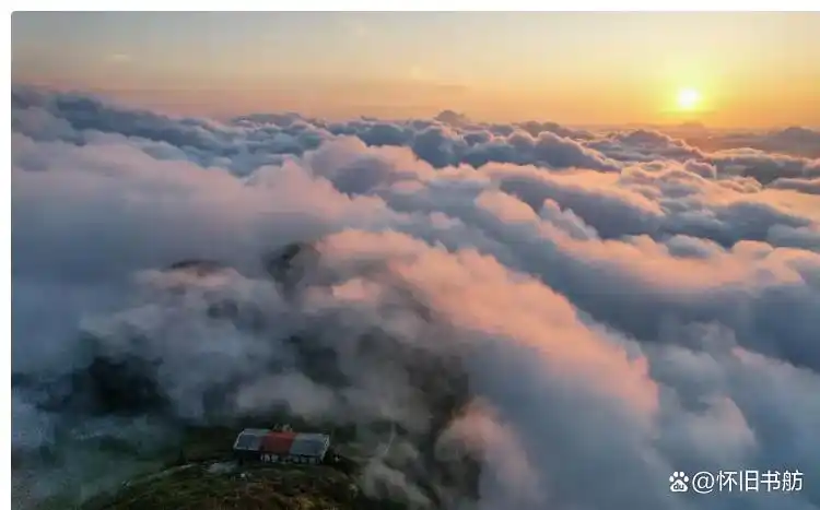 金佛山世界自然遗产_金佛山178环线自驾游_重庆到金佛山旅游攻略