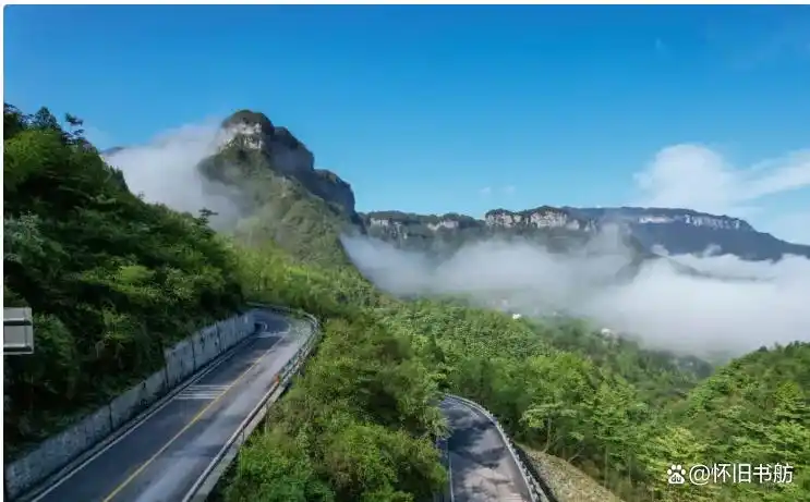金佛山世界自然遗产_重庆到金佛山旅游攻略_金佛山178环线自驾游