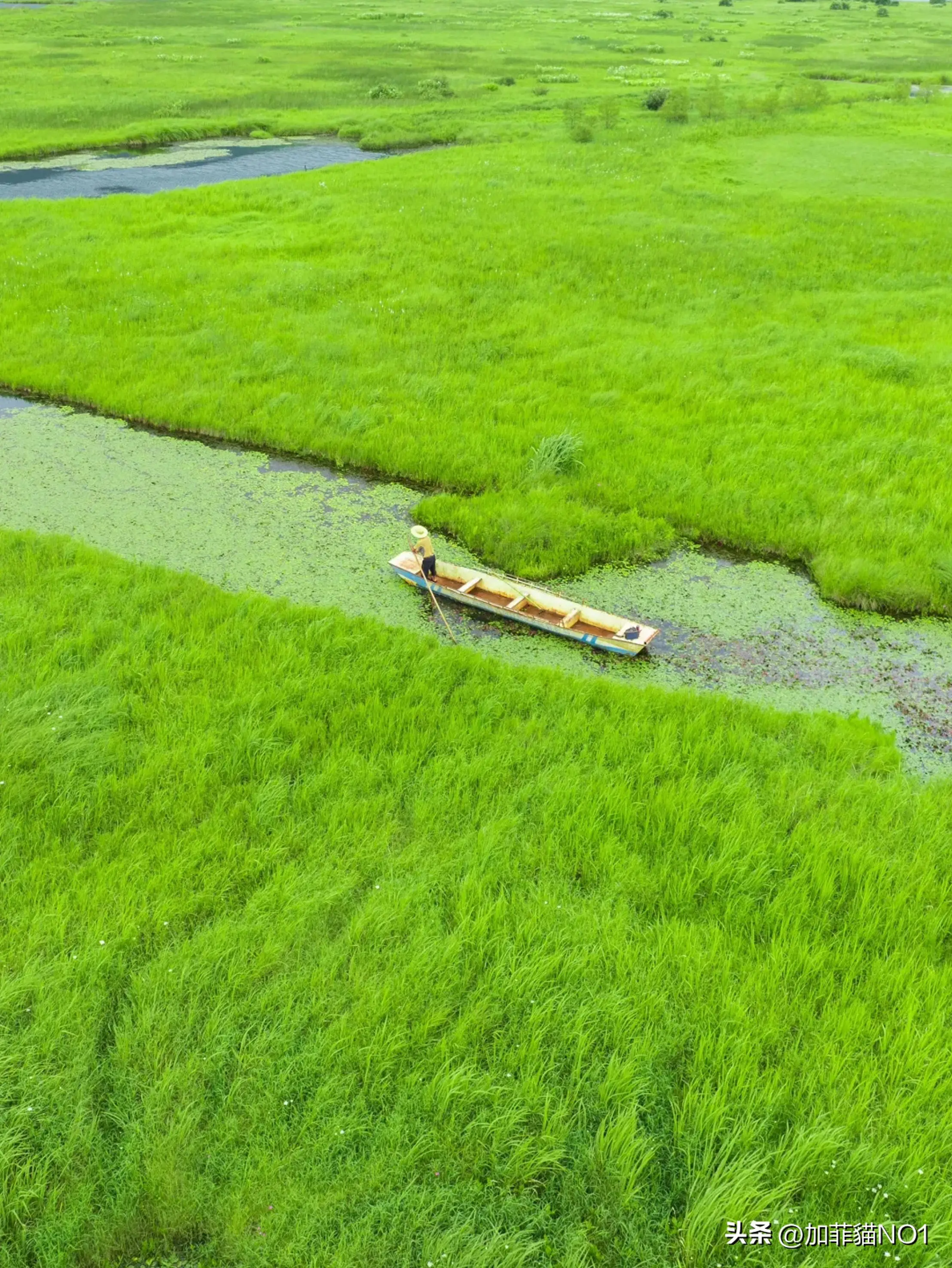 腾冲旅游攻略_腾冲小众旅行地_腾冲云峰山旅游攻略