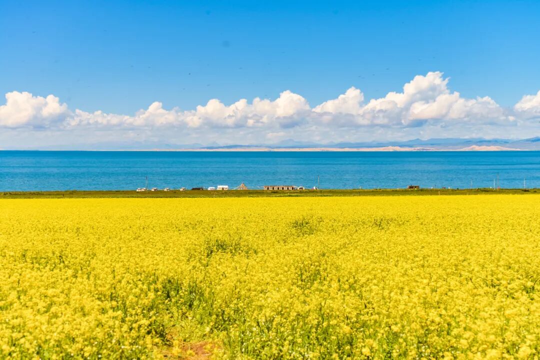 青海必打卡景点_青海扎麻隆凤凰山旅游攻略_青海旅游攻略