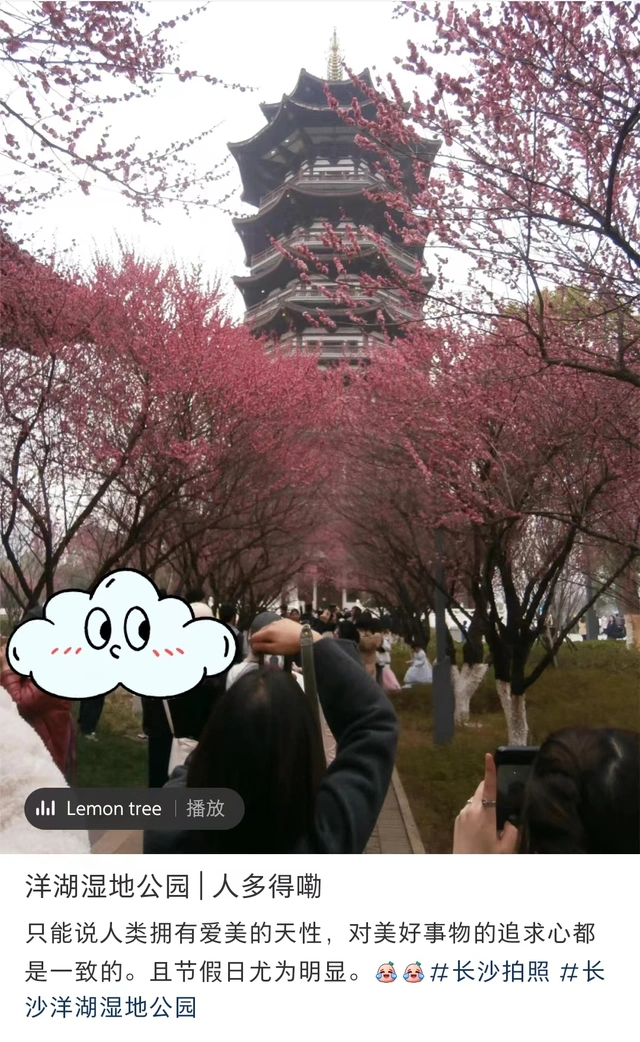 长沙岳麓山旅游攻略_长沙周末人流量大_长沙旅游人气火爆