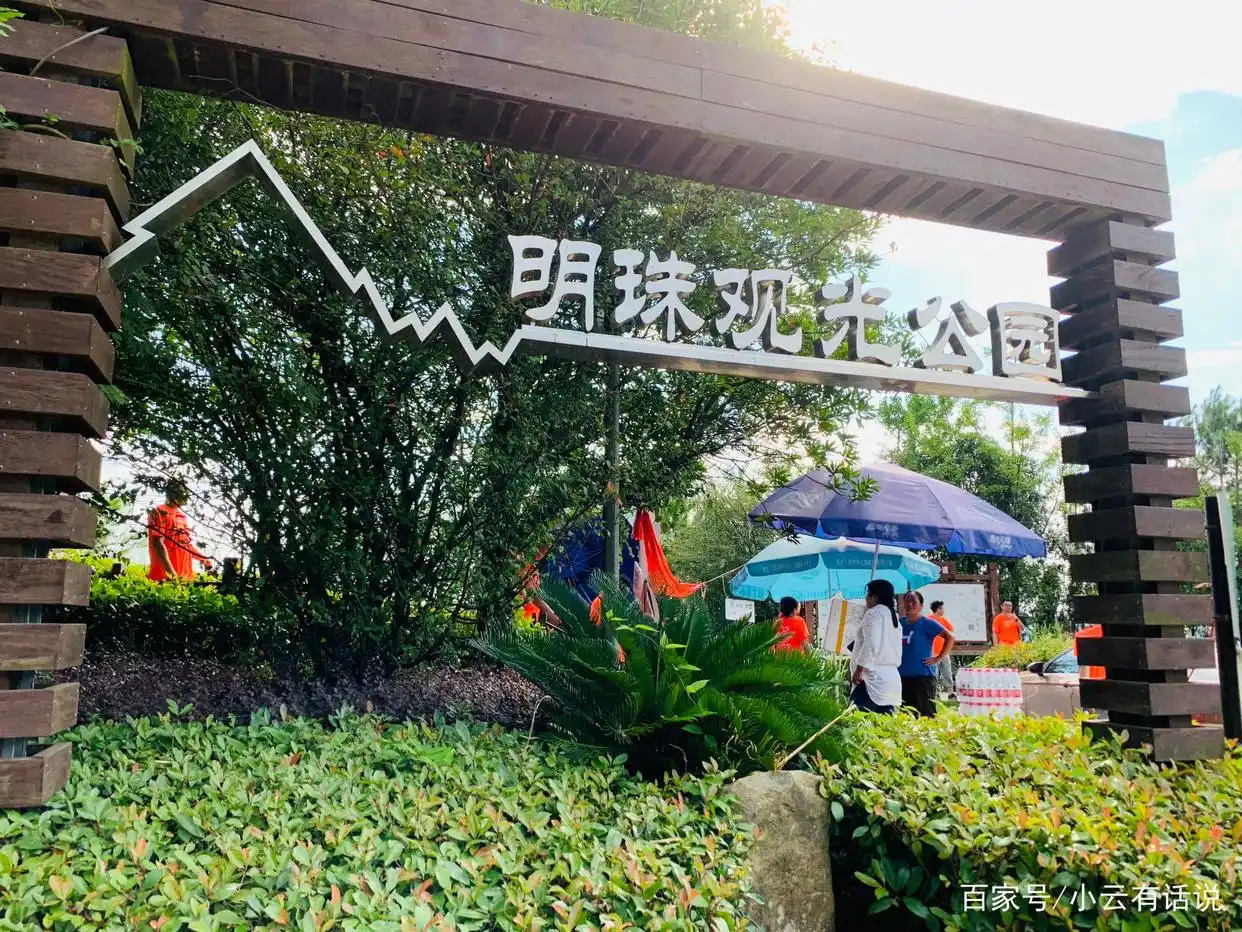 千岛湖自由行攻略_千岛湖天屿观景台美景_千岛湖旅游攻略2026