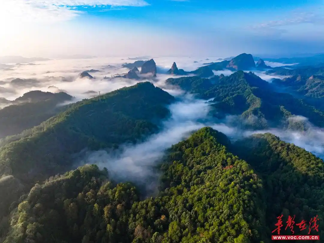 湖南秋天爬山景点_岳麓山捡秋攻略_长沙岳麓山旅游攻略