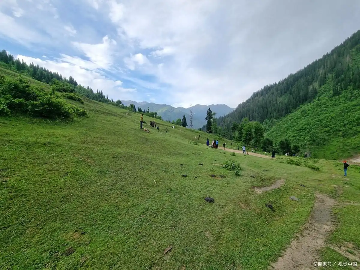 黄安坝夏季避暑露营攻略_城口黄安坝旅游攻略_重庆黄安坝高山草甸
