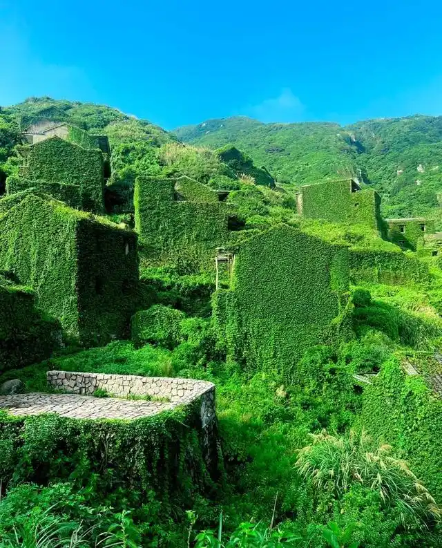 枸杞岛旅游攻略图片_枸杞岛旅游攻略_枸杞岛最佳旅行时间