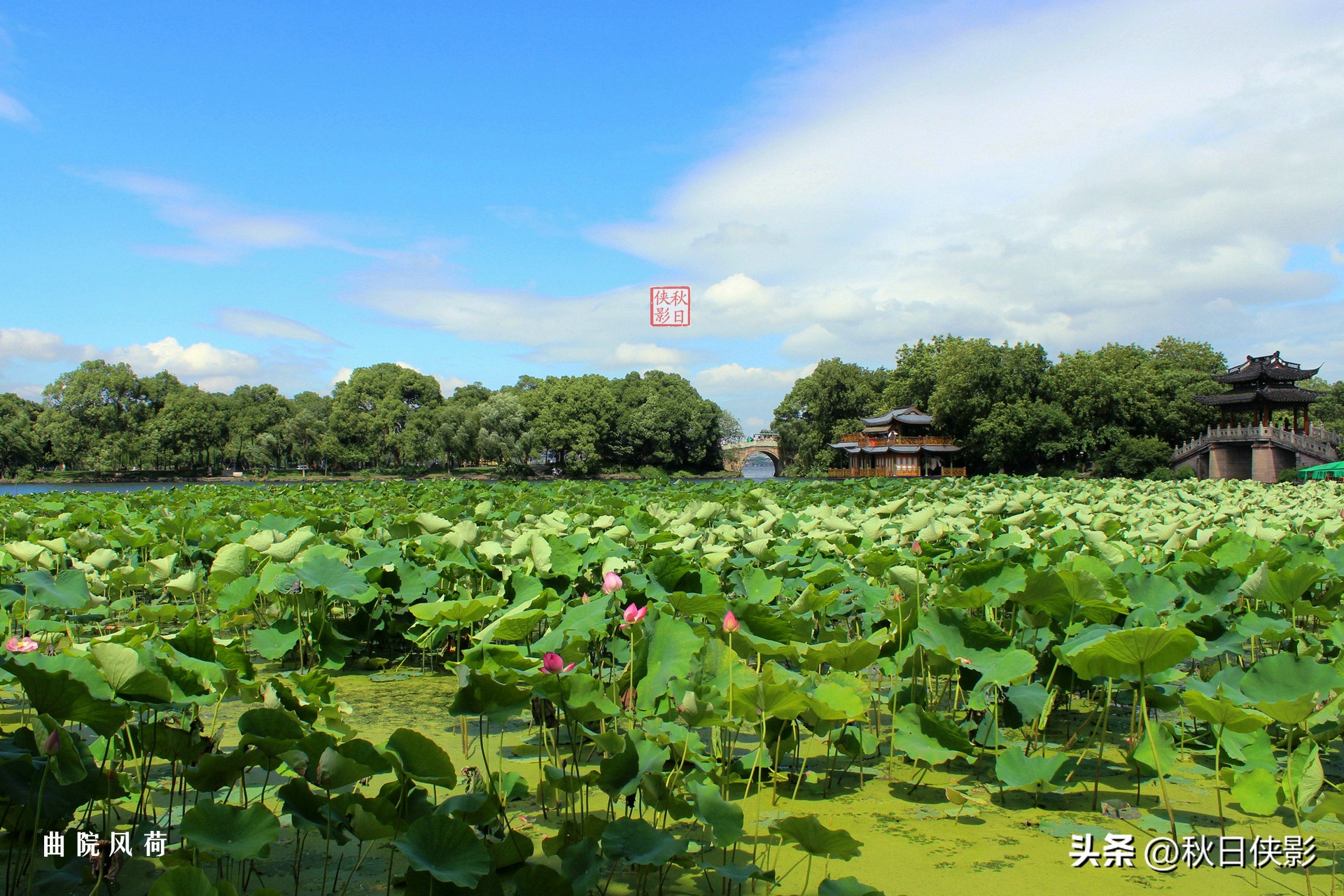 杭州西湖旅游攻略一日游路线_环西湖最佳路线_西湖一日游攻略