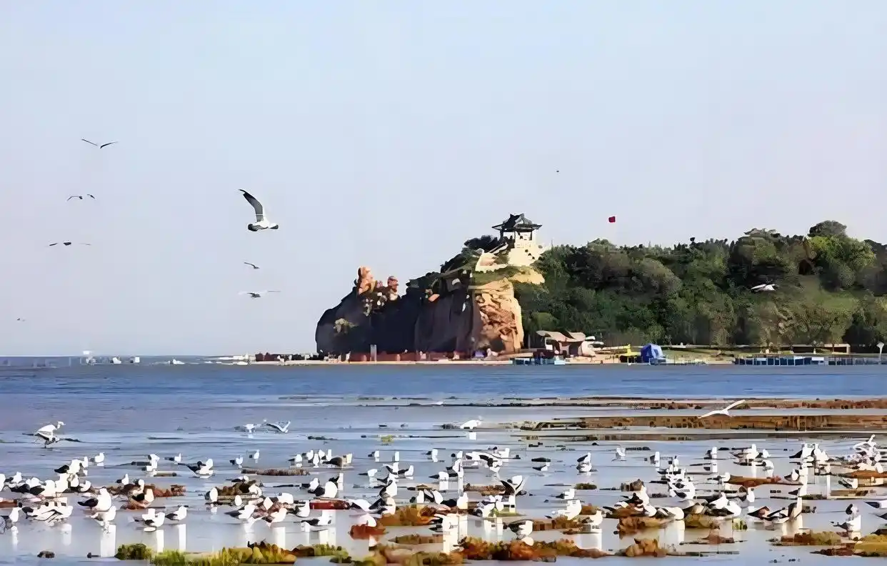 秦皇岛南戴河旅游攻略_秦皇岛十大必去景点_秦皇岛旅游路线