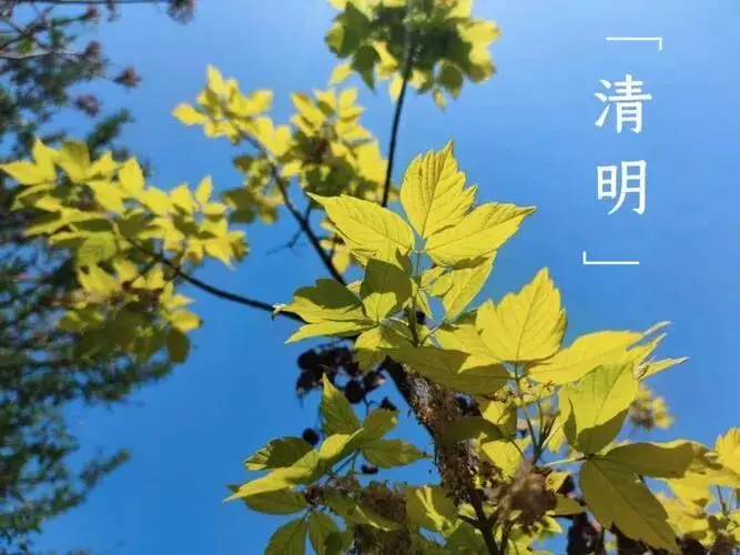 清明节历史起源_清明节旅游攻略_清明节传统习俗活动