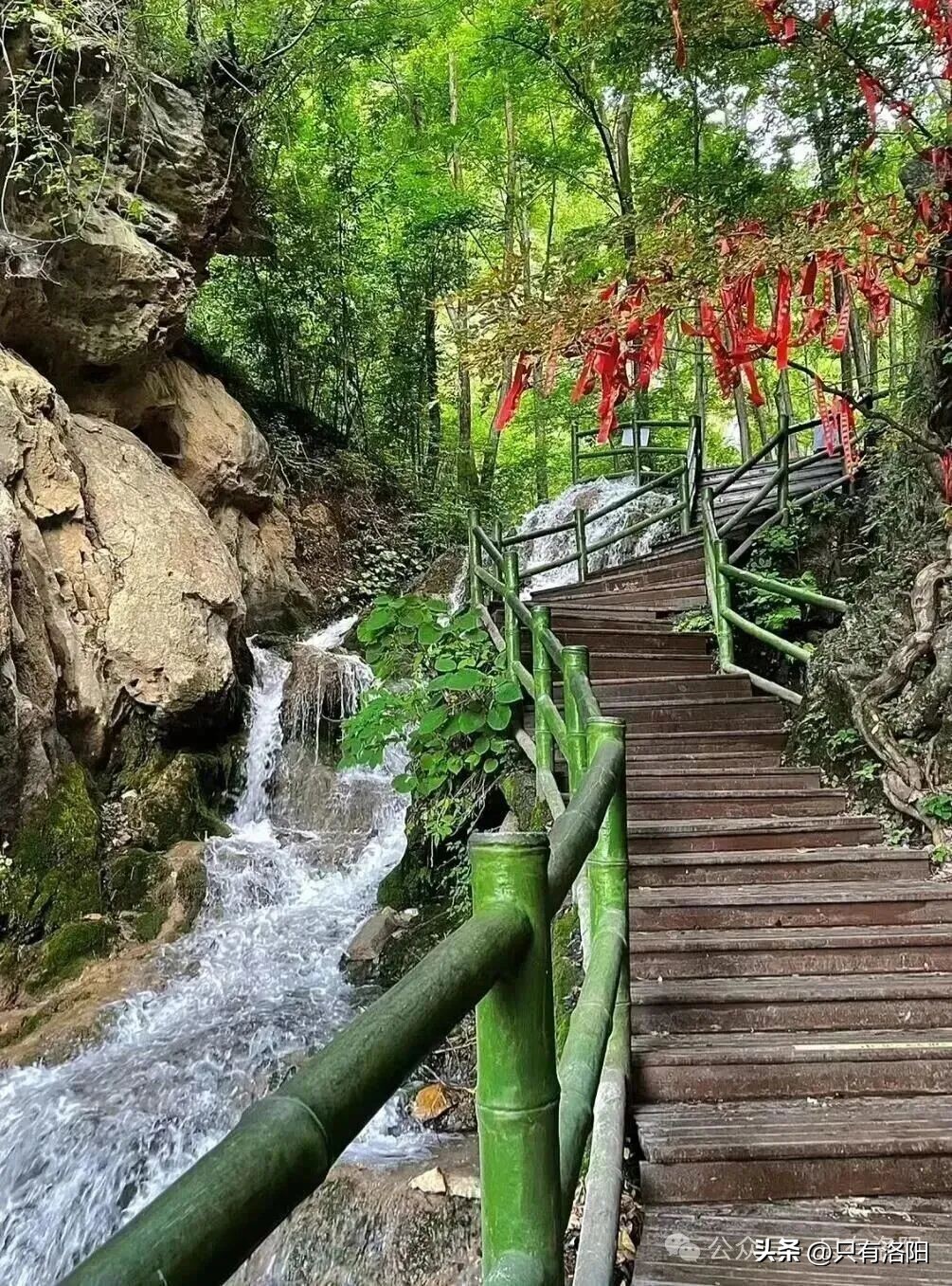 栾川旅游攻略_春节洛阳旅游攻略_老君山旅游交通