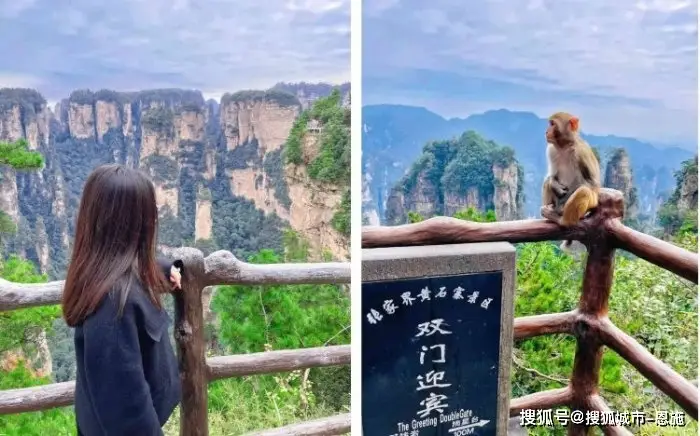 张家界5天4晚旅游行程_张家界特色客栈住宿推荐_最新张家界凤凰旅游攻略