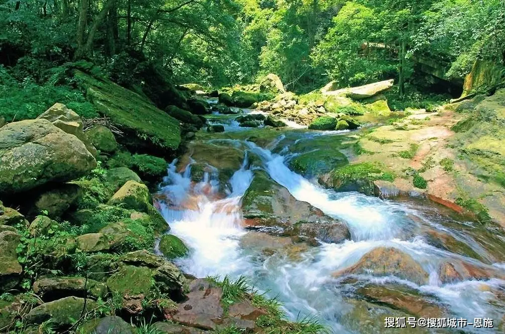 张家界5天4晚旅游行程_最新张家界凤凰旅游攻略_张家界特色客栈住宿推荐
