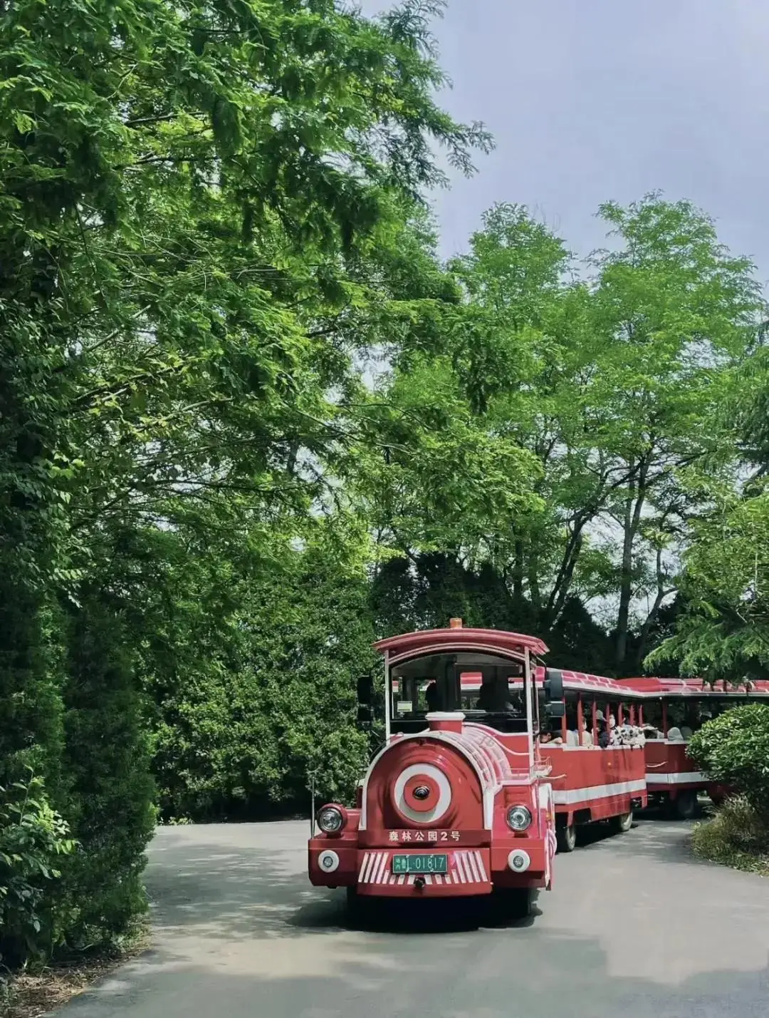 日照海滨旅游_日照旅游攻略2026_日照万平口旅游攻略
