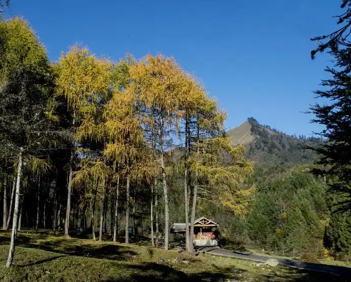 神木垒旅游攻略_神木垒旅游攻略_神木垒自然景观