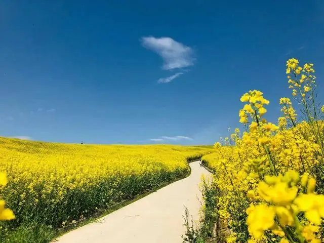 洋县旅游攻略_洋县旅游攻略_华阳古镇汉中石门栈道
