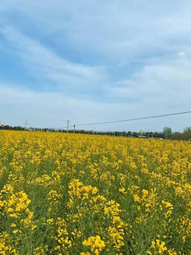 洋县旅游攻略_洋县旅游攻略_华阳古镇汉中石门栈道
