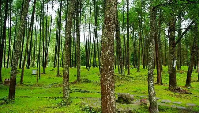 神木垒自然景观_神木垒旅游攻略_神木垒原始风情