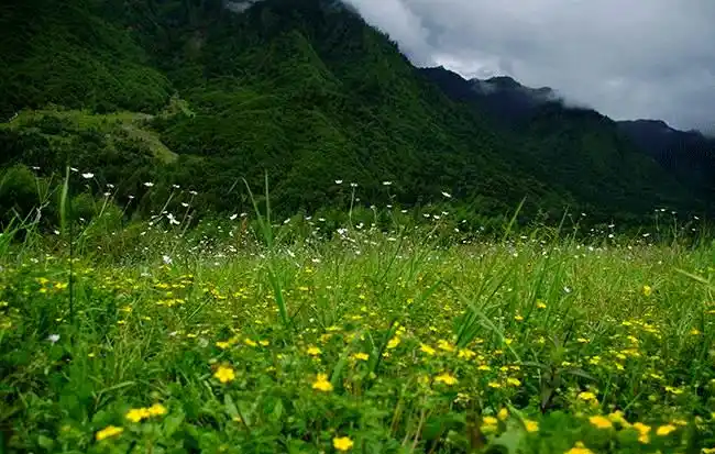 神木垒旅游攻略_神木垒自然景观_神木垒原始风情