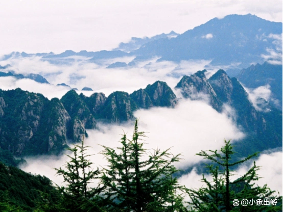 太白山国家森林公园_陕西太白山旅游攻略_西安太白山旅游攻略