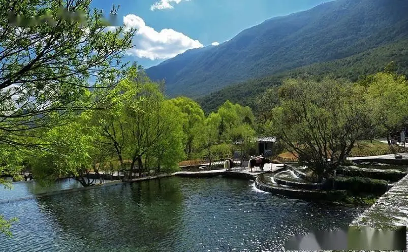 丽江十大必玩景点_丽江到香格里拉旅游攻略_丽江古城旅游攻略