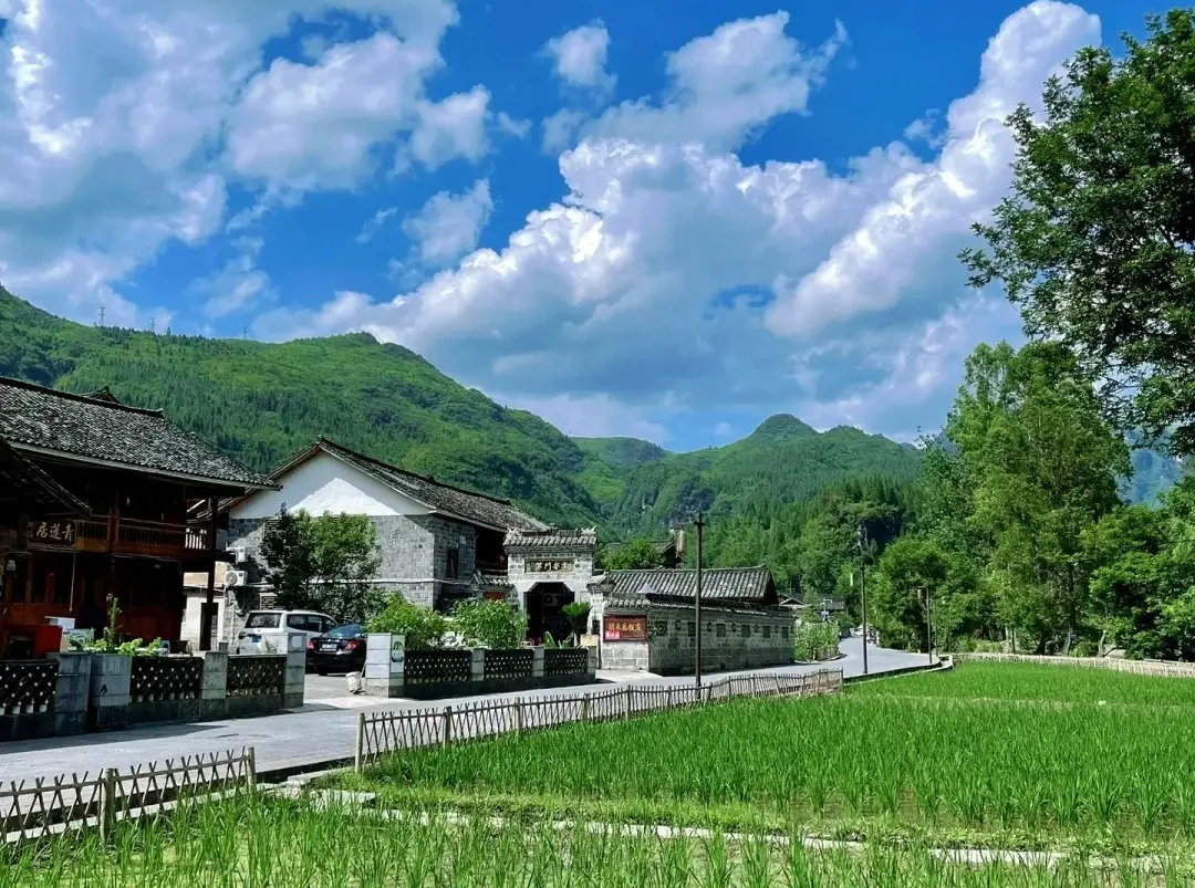 铜仁三天两夜旅行攻略_铜仁梵净山旅游攻略_铜仁山水人文脉络旅游线路