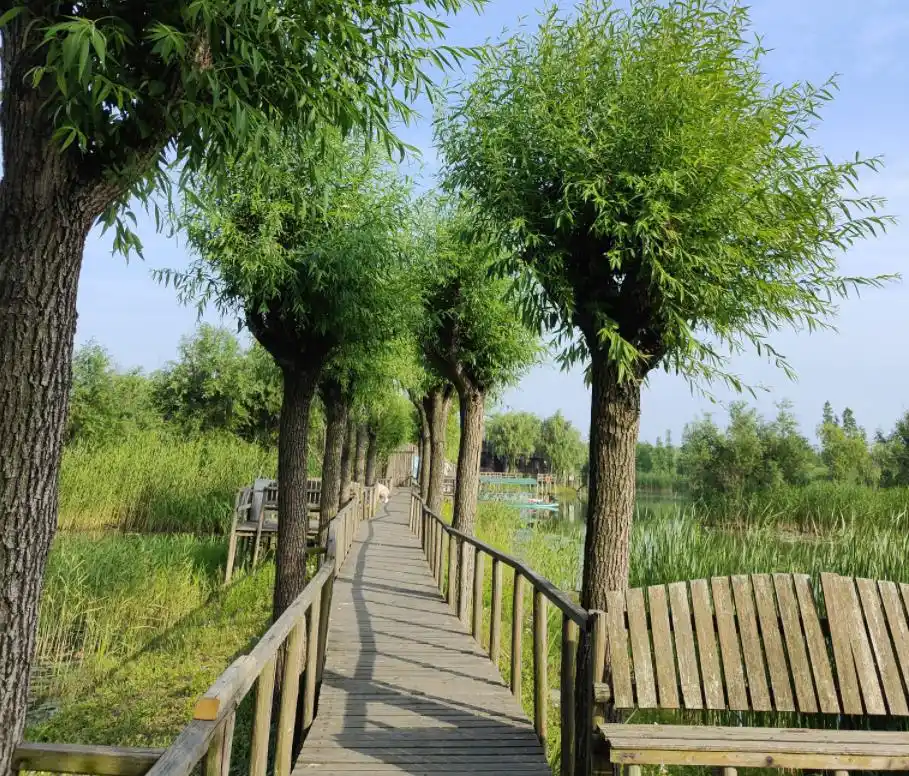 三山岛旅游攻略_大连三山岛旅游攻略_三山岛环岛骑行