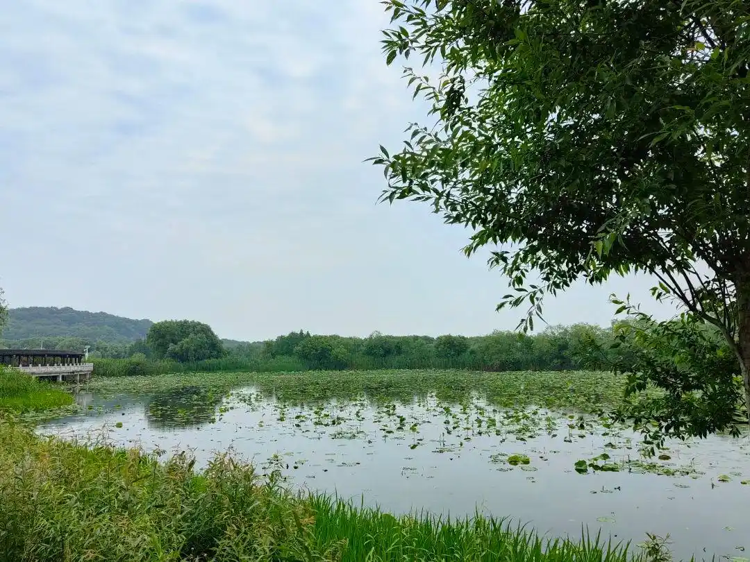 三山岛环岛骑行_大连三山岛旅游攻略_三山岛旅游攻略