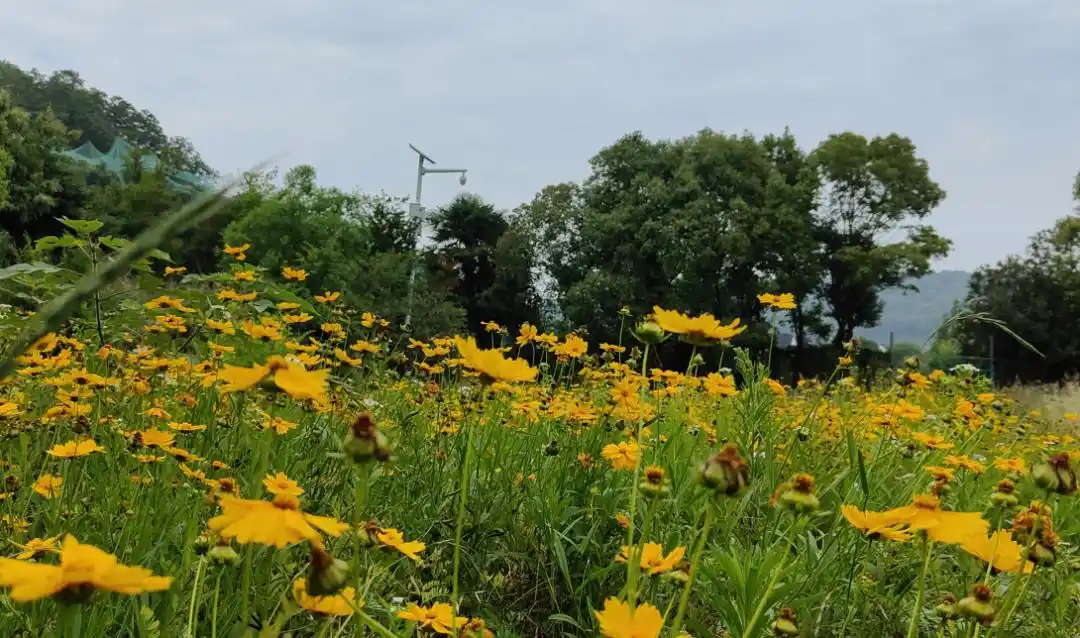 三山岛旅游攻略_大连三山岛旅游攻略_三山岛环岛骑行