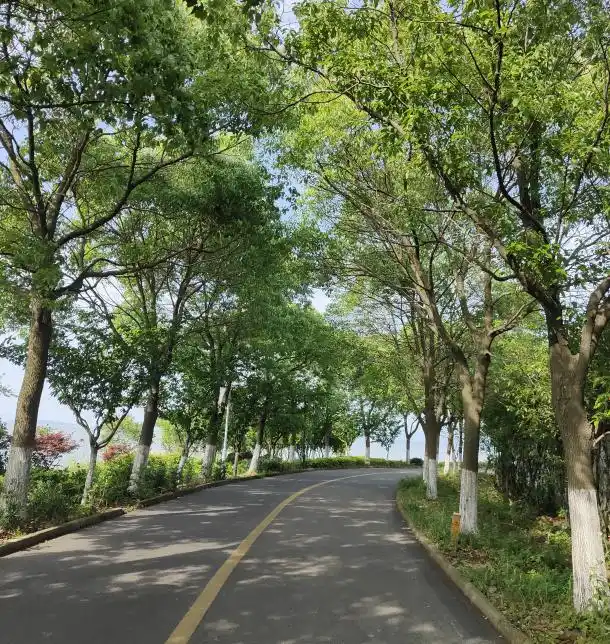 三山岛旅游攻略_三山岛环岛骑行_大连三山岛旅游攻略