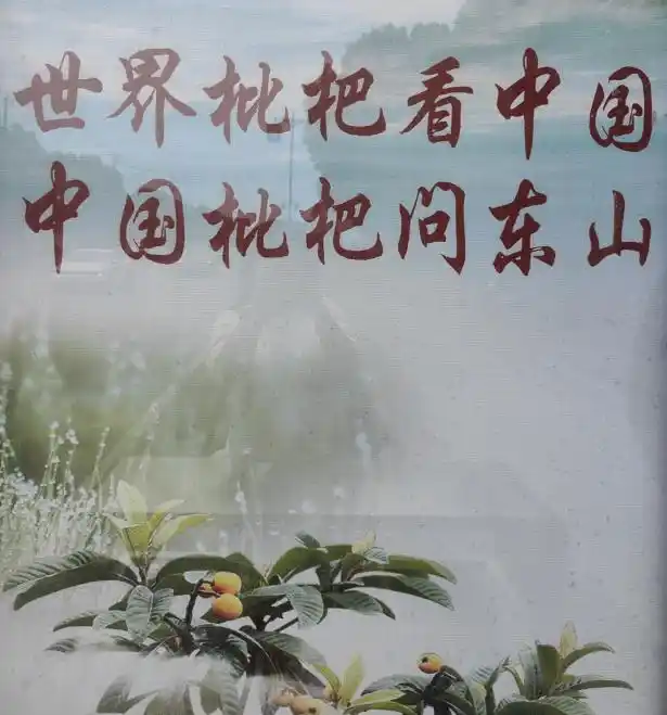 三山岛旅游攻略_三山岛环岛骑行_大连三山岛旅游攻略