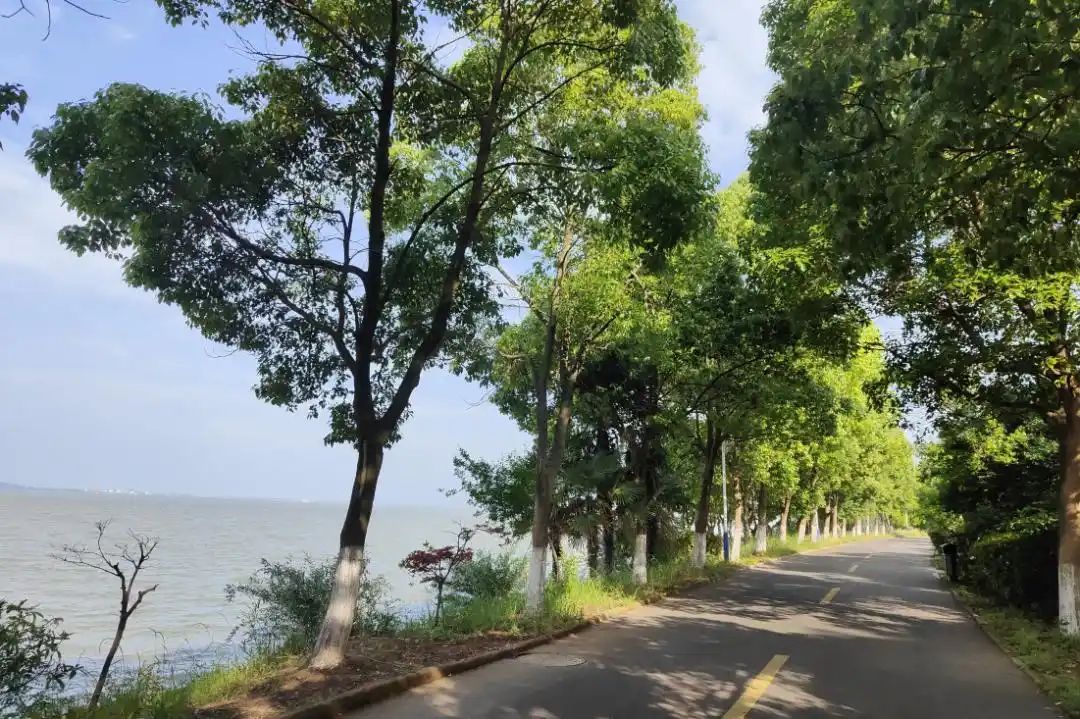 三山岛环岛骑行_大连三山岛旅游攻略_三山岛旅游攻略