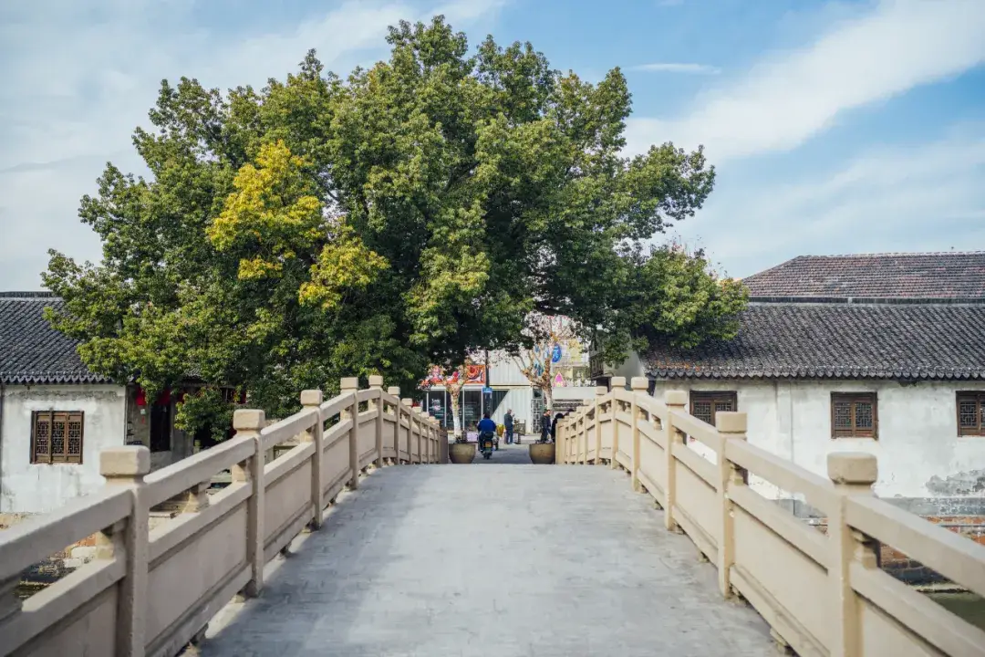 海盐余华故乡旅游攻略_海盐旅游攻略_南北湖景点游玩指南