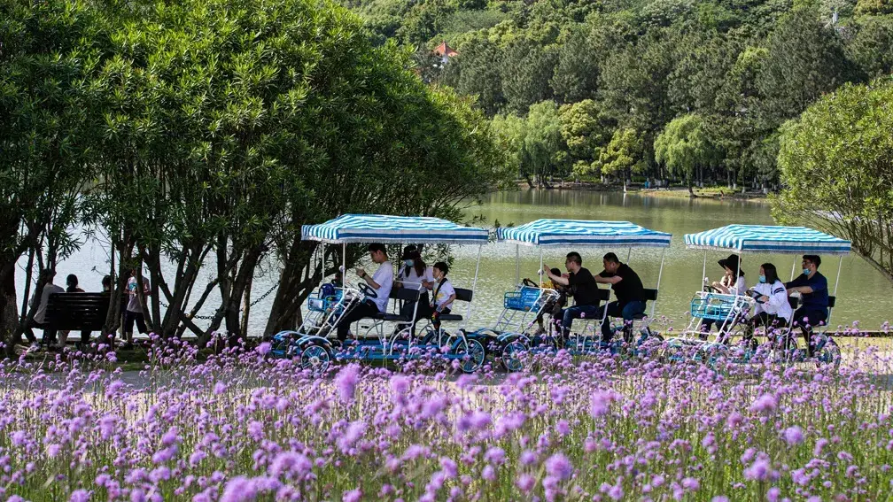 南北湖景点游玩指南_海盐余华故乡旅游攻略_海盐旅游攻略