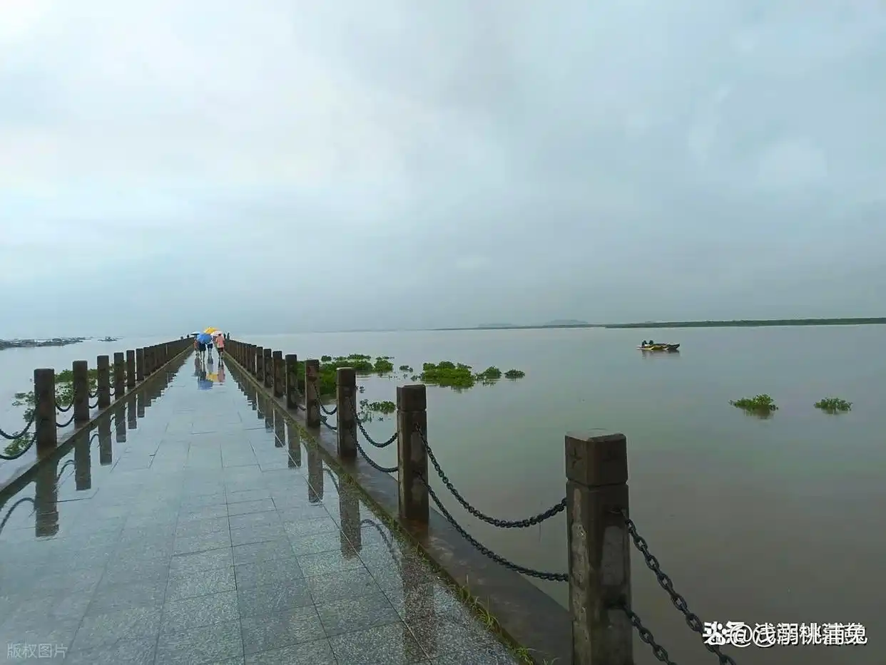 广西东兴旅游攻略_东兴深度游攻略_东兴旅游避坑指南