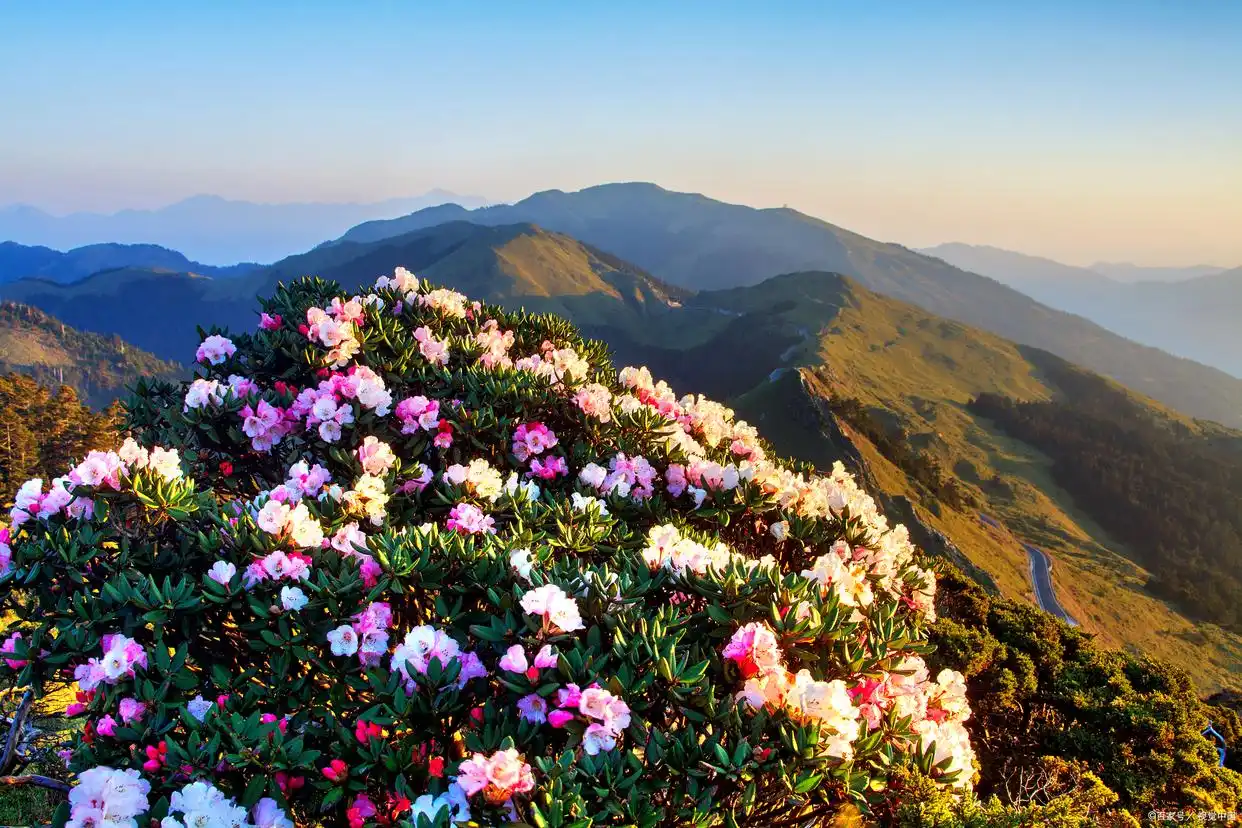 杭州到三清山二日游行程安排_三清山十一旅游攻略_<strong>杭州去三清山旅游攻略二日游</strong>