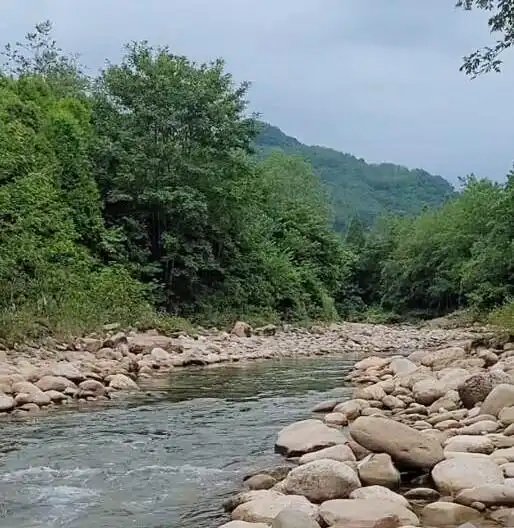 九龙沟旅游攻略_九龙沟旅游攻略_九龙沟自然景观