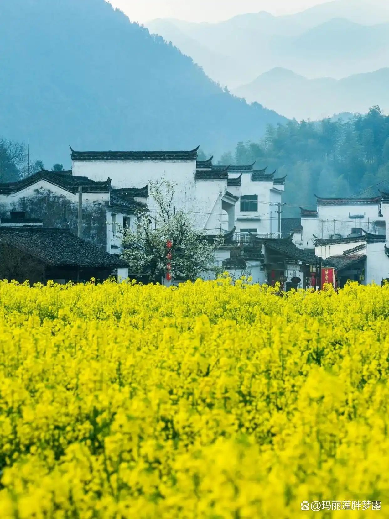 上饶十大景点推荐_三清山婺源篁岭旅游攻略_三清山十一旅游攻略