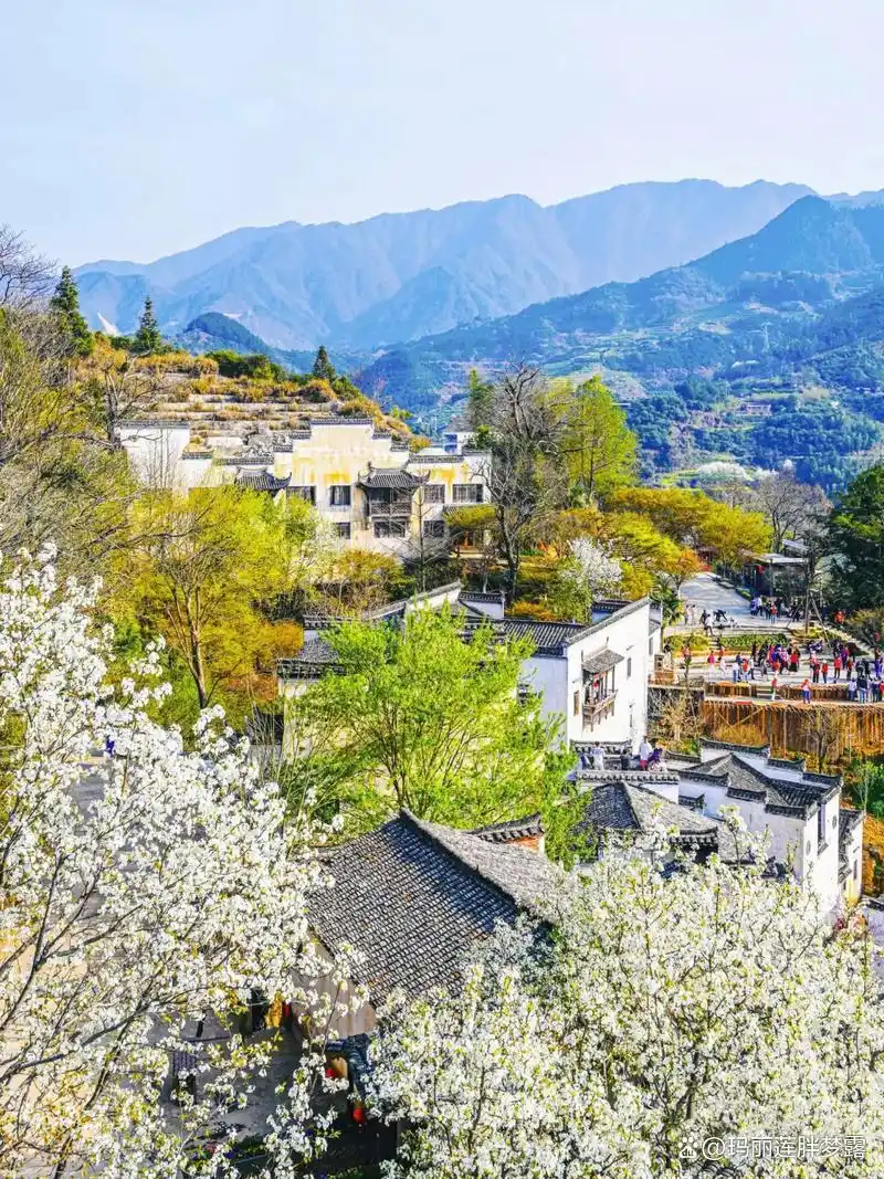 三清山婺源篁岭旅游攻略_上饶十大景点推荐_三清山十一旅游攻略