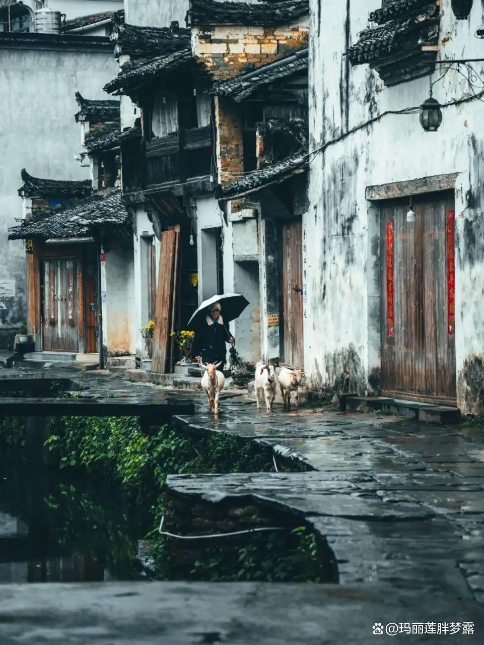 三清山婺源篁岭旅游攻略_三清山十一旅游攻略_上饶十大景点推荐