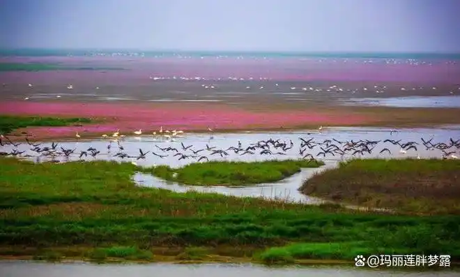 上饶十大景点推荐_三清山婺源篁岭旅游攻略_三清山十一旅游攻略