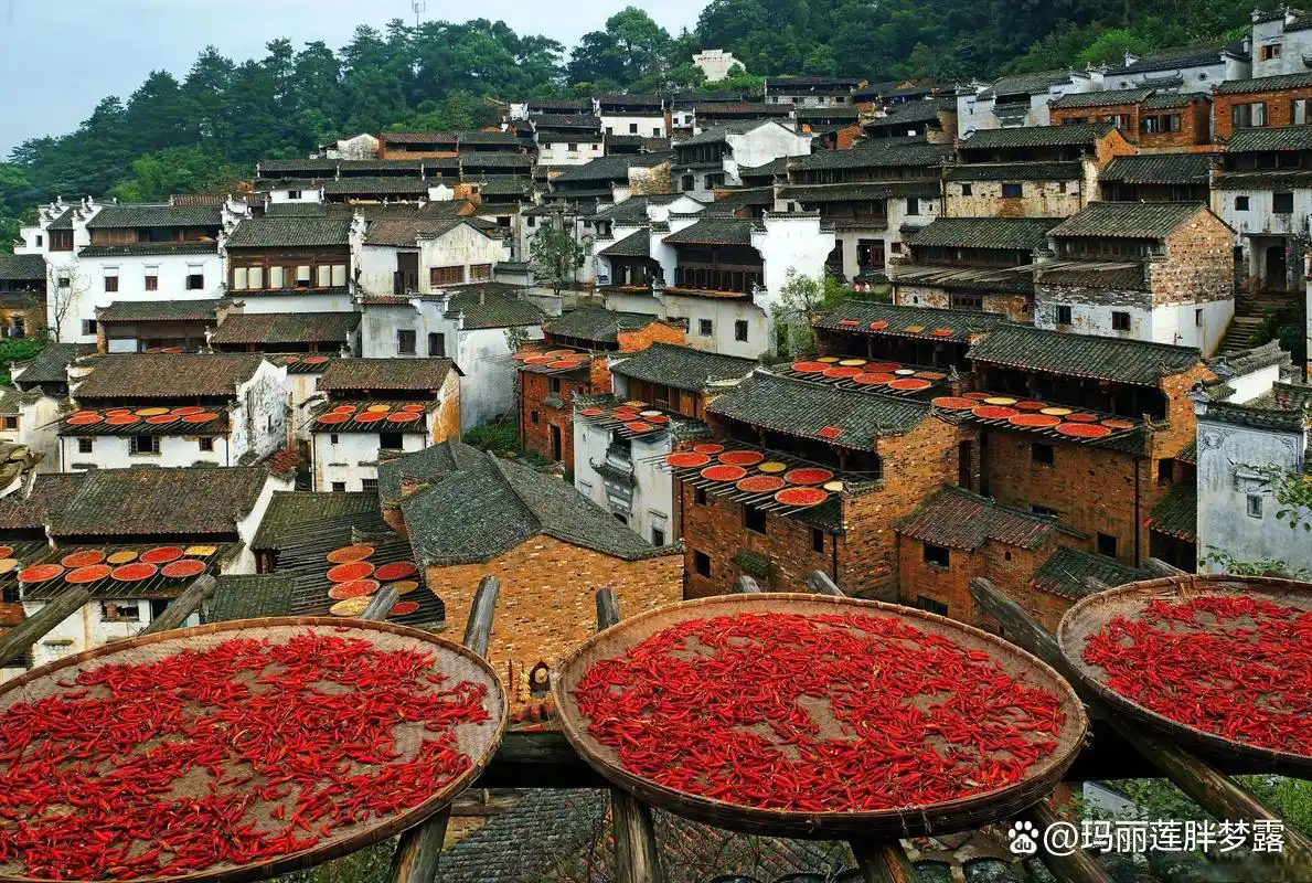 三清山十一旅游攻略_三清山婺源篁岭旅游攻略_上饶十大景点推荐