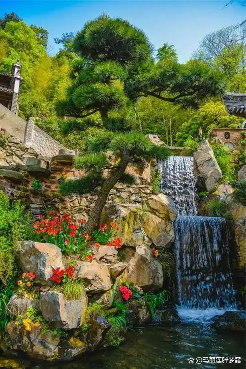 三清山十一旅游攻略_三清山婺源篁岭旅游攻略_上饶十大景点推荐