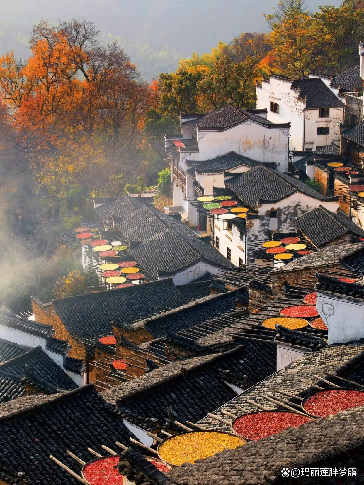 三清山十一旅游攻略_上饶十大景点推荐_三清山婺源篁岭旅游攻略