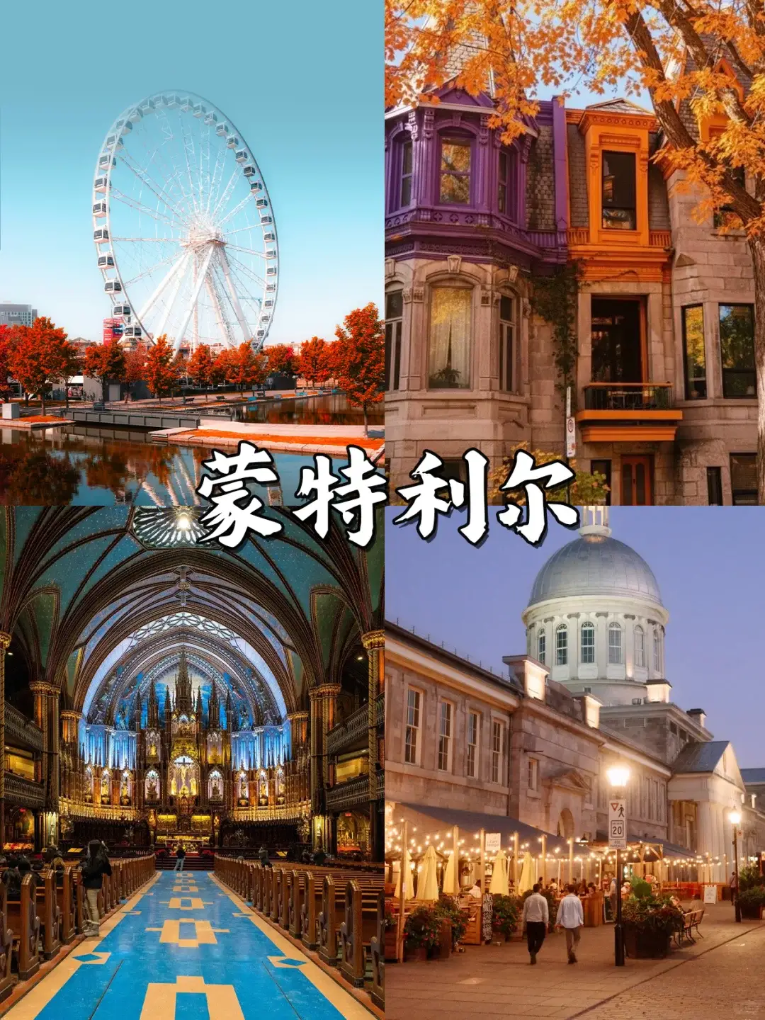 加拿大蒙特利尔旅游攻略_加拿大旅游攻略_加拿大最佳旅行时间