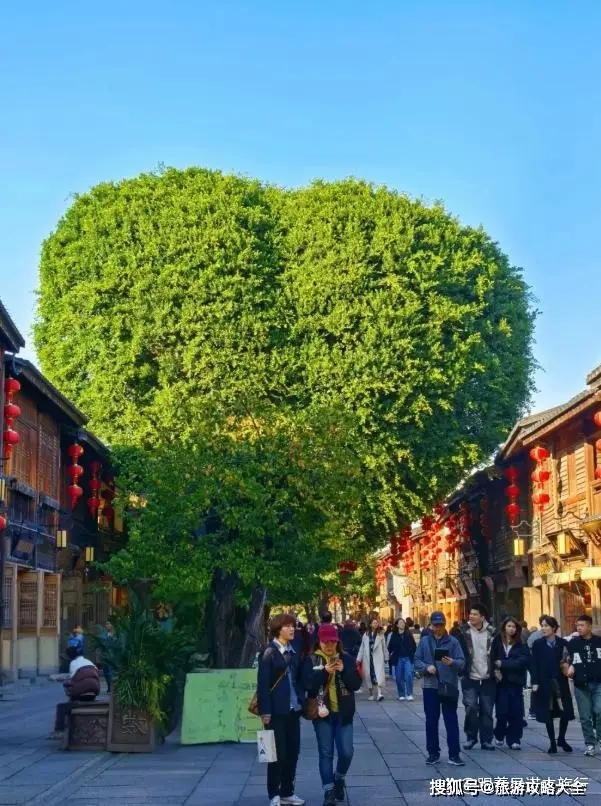 福州保姆级三日游攻略_福州市旅游攻略_福州三天两晚纯玩小包团行程