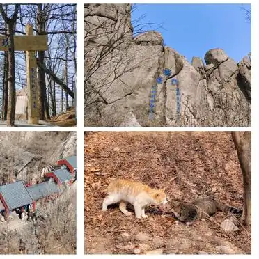 崂山巨峰一日游攻略_崂山巨峰徒步路线_崂山巨峰旅游攻略