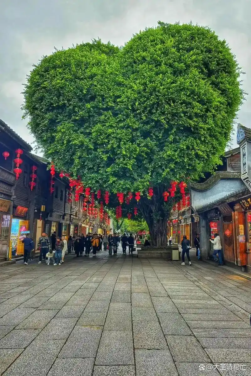 三坊七巷旅游攻略_福州市旅游攻略_福建春节前错峰出行
