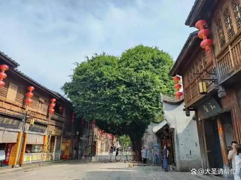 福州市旅游攻略_福建春节前错峰出行_三坊七巷旅游攻略