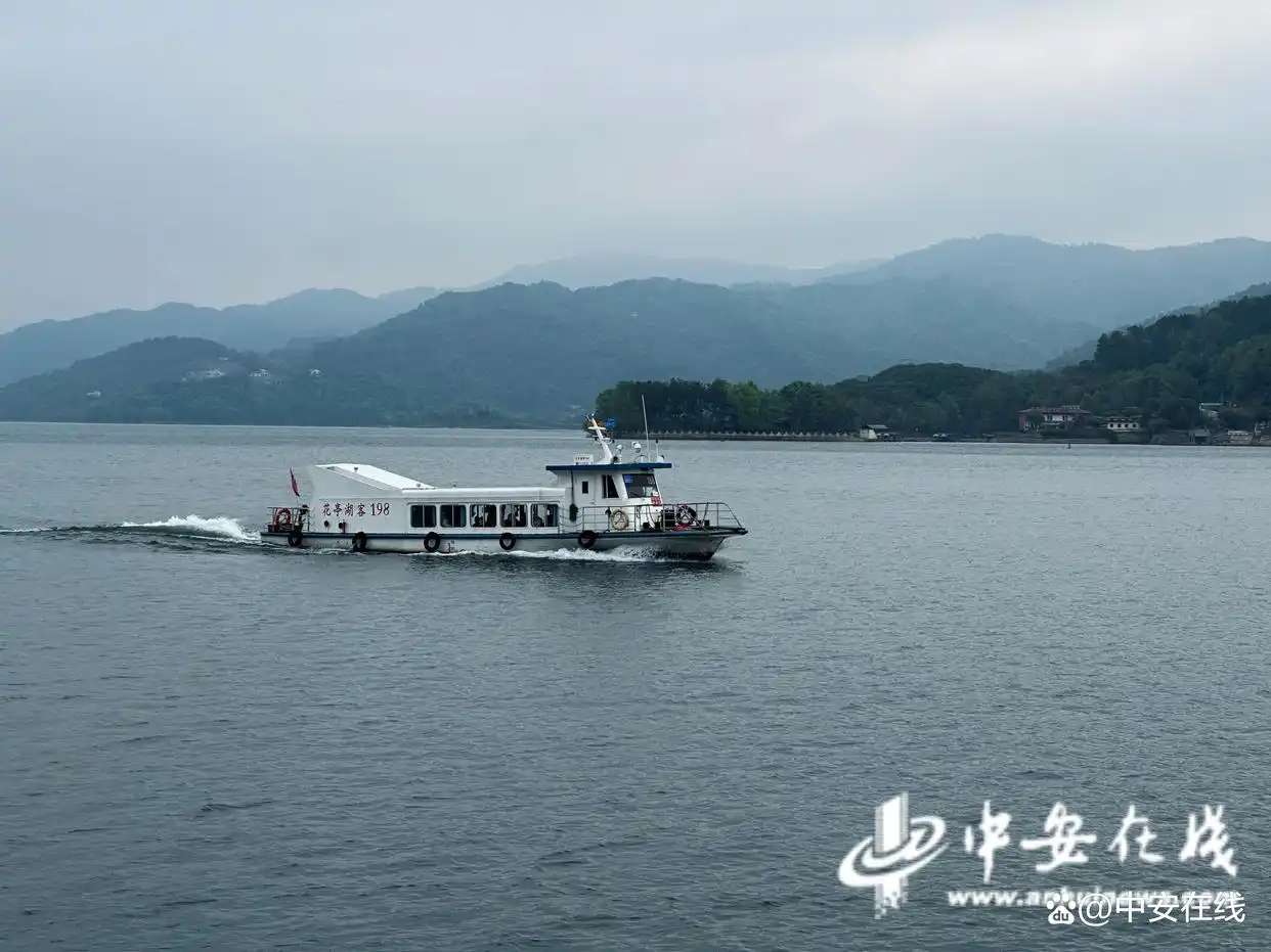 花亭湖国家湿地公园_花亭湖旅游攻略_太湖县花亭湖旅游攻略