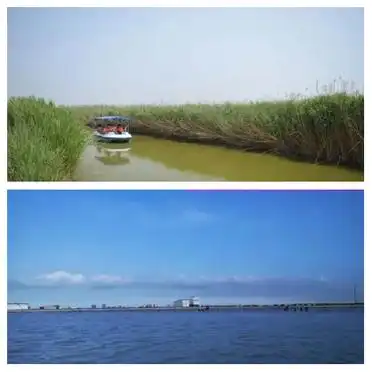 唐山曹妃甸旅游攻略_曹妃甸湿地公园必游景点攻略_曹妃甸湿地旅游攻略与交通指南